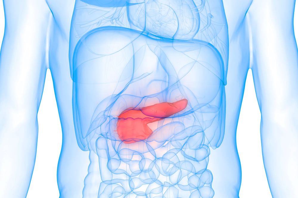 pancreas